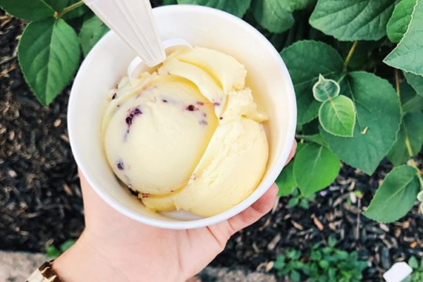 AlmondEater_Millies_Cup