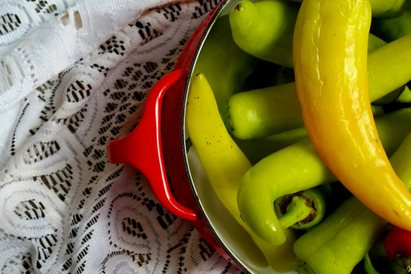 sustainabilityguide-3